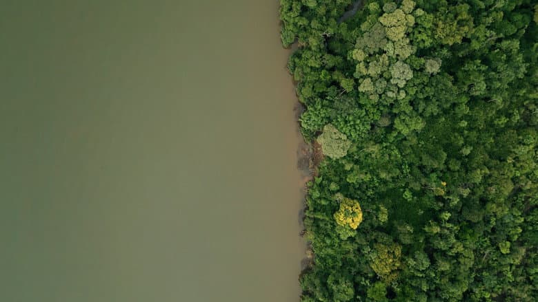 DAMS AMONG US