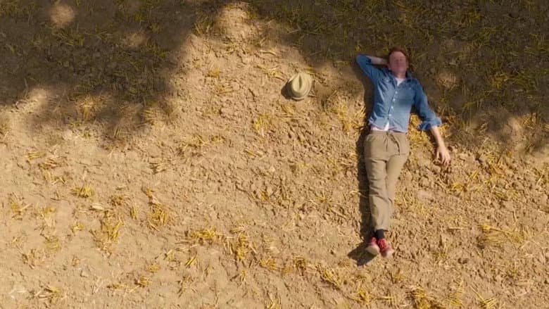 Chêne de vie : l'amour aux temps du cancer