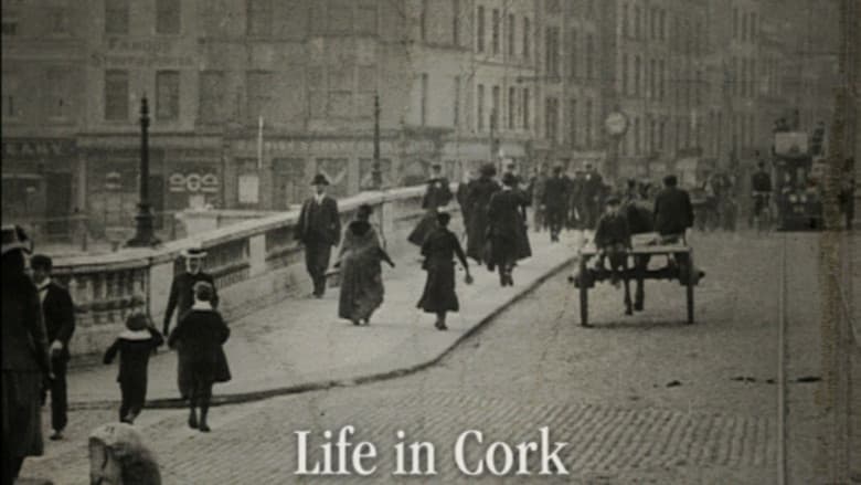 Mitchell & Kenyon in Ireland