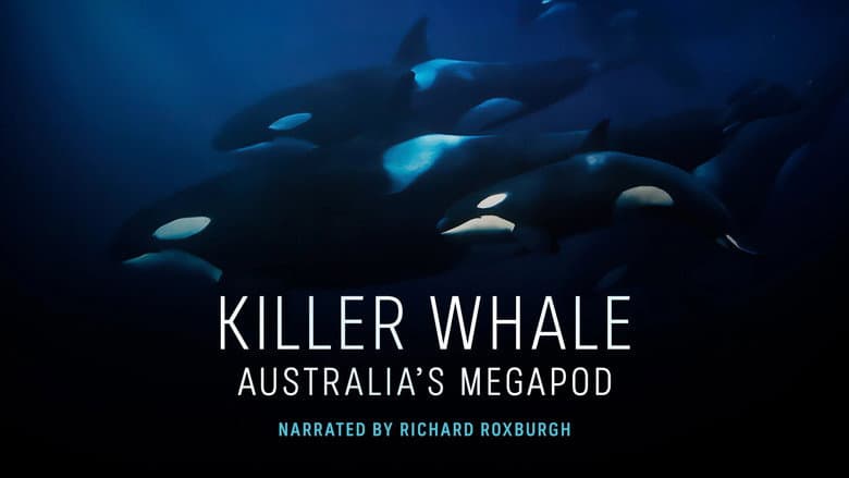 Killer Whale: Australia's Megapod