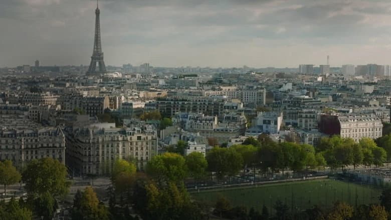 Le Suicide Francais
