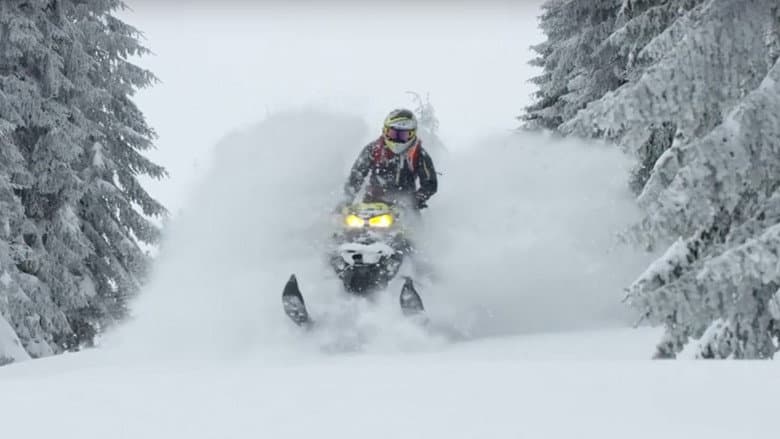 Exploring The Snow - The Final Volume